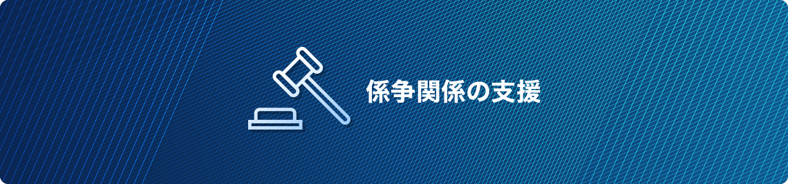 係争関係の支援